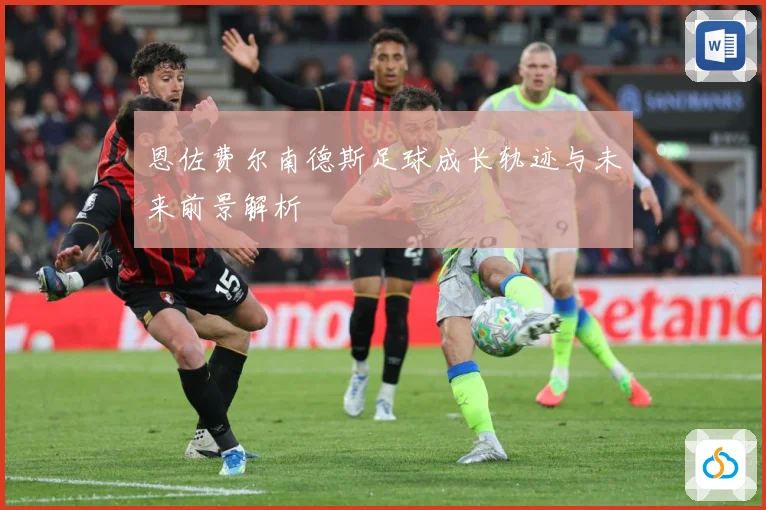 恩佐费尔南德斯足球成长轨迹与未来前景解析