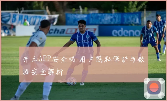 开云APP安全吗 用户隐私保护与数据安全解析