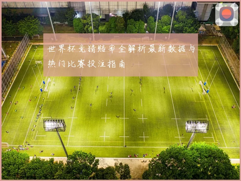 世界杯竞猜赔率全解析最新数据与热门比赛投注指南