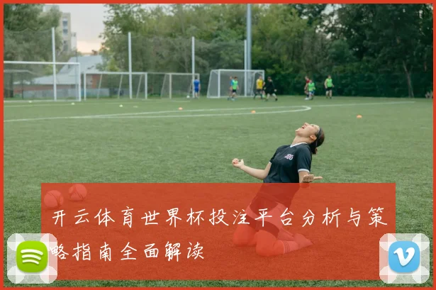 开云体育世界杯投注平台分析与策略指南全面解读